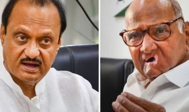 स्थानिक निवडणुकीच्या पार्श्वभूमीवर पवार काका - पुतणे एकत्र येणार?