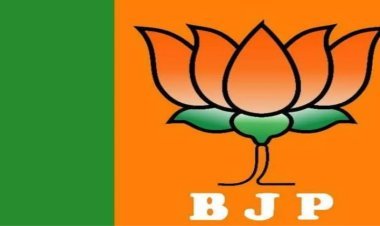 बिहारच्या विजयानंतर भाजपने केली 'या' बड्या नेत्याची हकालपट्टी ; नेमकं कारण काय..?