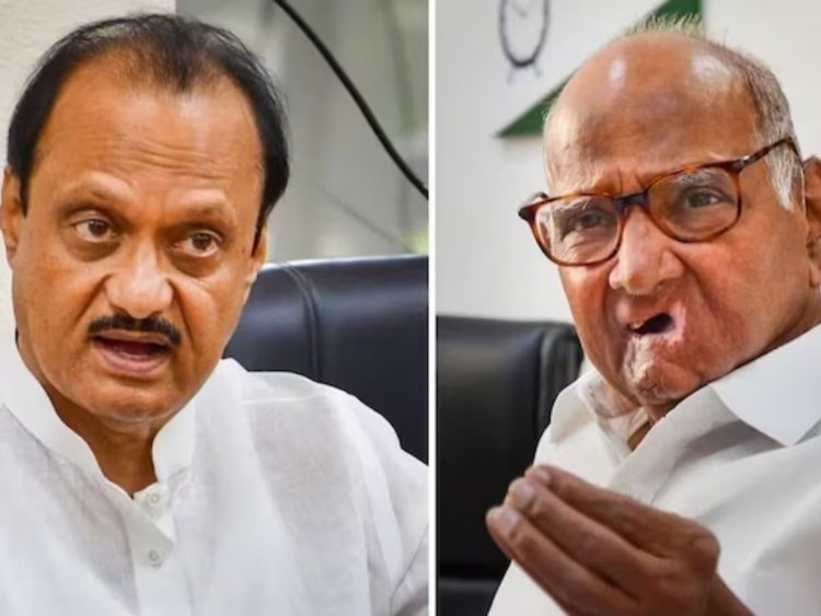 स्थानिक निवडणुकीच्या पार्श्वभूमीवर पवार काका - पुतणे एकत्र येणार?