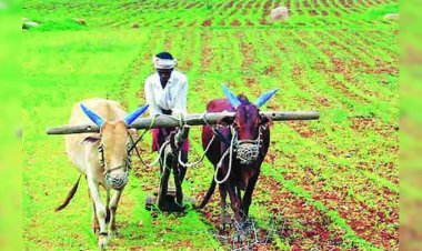 राष्ट्रीय शेतकरी दिन - शेतकऱ्यांसाठी असणाऱ्या 'या' महत्त्वाच्या योजनांची जाणून घ्या सविस्तर माहिती...