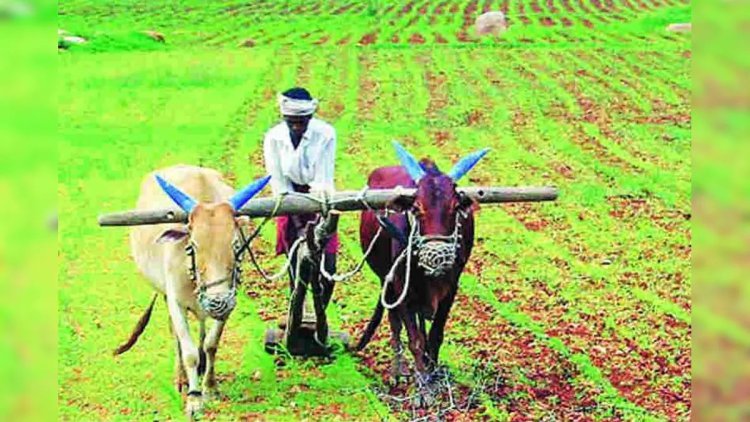 राष्ट्रीय शेतकरी दिन - शेतकऱ्यांसाठी असणाऱ्या 'या' महत्त्वाच्या योजनांची जाणून घ्या सविस्तर माहिती...