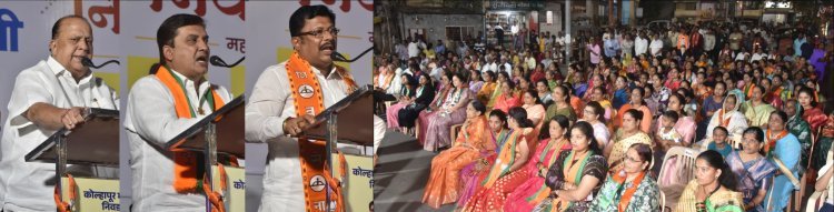 आ. सतेज पाटील यांना निकालादिवशीच समजेल भाजपची बी टीम - मंत्री हसन मुश्रीफ