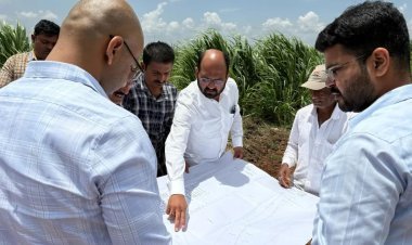 कोल्हापुरात आंतरराष्ट्रीय दर्जाचे क्रिकेट स्टेडियम; मंत्रिमंडळ बैठकीत मंजुरी