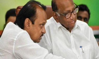 राष्ट्रवादीच विलीनीकरण हीच अजितदादांना श्रद्धांजली ठरेल-शशिकांत शिंदे