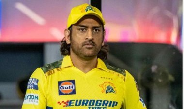 एम,एस धोनीला उच्च न्यायालयाने दिले आदेश, नेमकं प्रकरण काय?