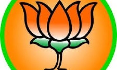 भाजपच्या जि. प. पं. स. सदस्यांचा रविवारी सत्कार