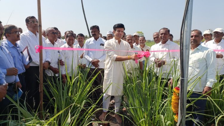 एआयद्वारे ऊस उत्पादन वाढीसाठी शाहू  कारखाना शेतकऱ्यांना प्रोत्साहन देणार-राजे समरजितसिंह घाटगे