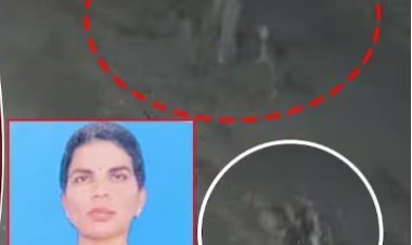 भटक्या कुत्र्यांचा हादरवणारा हल्ला, महिलेला केले ठार