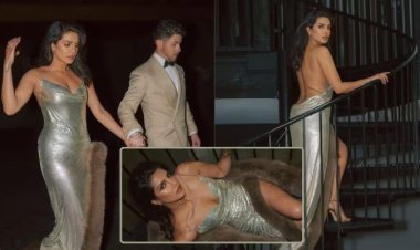 सिल्व्हर बॅकलेस ड्रेसवर दिसते कमाल:प्रियांका चोप्राचा खास अंदाज