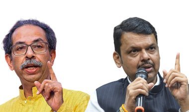 पु.ल.देशपांडे यांच्यानंतर उद्धव ठाकरे महाराष्ट्राचे 'कोट्या'धीश, फडणवीसांकडून ठाकरेंचं कौतुक