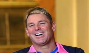 शेन वॉर्न ठरला मास्टरमाईंड, IPL मधून सर्वाधिक पैसा मिळवला