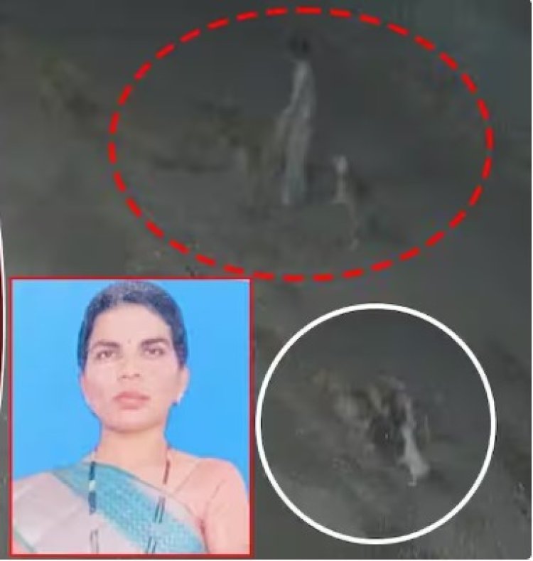 भटक्या कुत्र्यांचा हादरवणारा हल्ला, महिलेला केले ठार