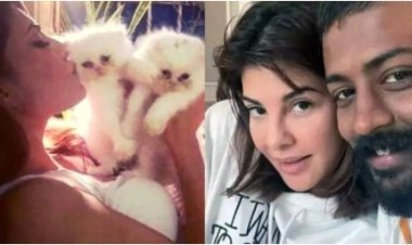 जॅकलिन फर्नांडिसचा आता सुकेशविरोधात एल्गार ; ज्याच्याकडून आलिशान गिफ्ट मिळाल्या