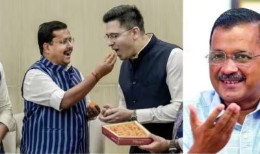 भाजपमध्ये गेलेल्या आप खासदारांवर अपात्रतेची टांगती तलवार?
