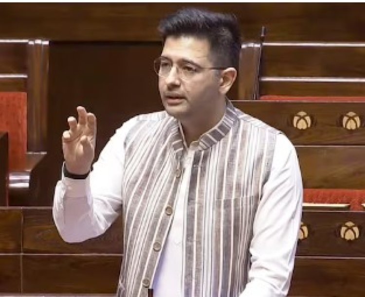 उपनेतेपदावरुन हकालपट्टी झाली, कोण आहेत राघव चड्डा ?