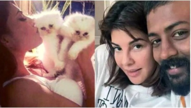 जॅकलिन फर्नांडिसचा आता सुकेशविरोधात एल्गार ; ज्याच्याकडून आलिशान गिफ्ट मिळाल्या