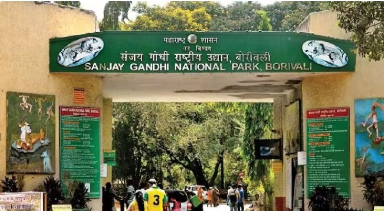 संजय गांधी उद्यान शुल्कवाढीवर संताप, वन विभागाचा यू-टर्न