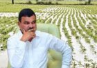 पेरणीची घाई शेतकऱ्यांच्या अडचणी वाढवू शकते; कृषीमंत्र्यांचे 15 जूनपर्यंत थांबण्याचे आवाहन
