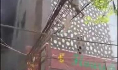 दिल्लीतील रेस्तरॉंला आग, 21 मृत्यू; 40 जणांची सुटका, जीव वाचवण्यासाठी बिल्डिंगवरून उड्या