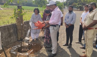 महापालिकेच्यावतीने जागतिक पर्यावरण दिन साजरा