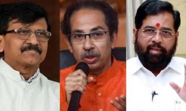 ठाकरे गटाच्या खासदारांच्या संभाव्य भूमिकाबदलाच्या चर्चांना वेग; कायदेशीर पर्यायांवर तज्ज्ञांची मते