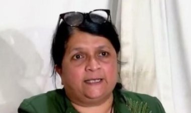 ऑपरेशन टायगर’मागे भाजपचा हात? सहा खासदारांच्या बंडावर अंजली दमानियांचे गंभीर आरोप
