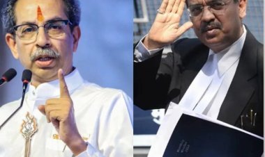 व्हीप झुगारून 6 खासदार गैरहजर; ठाकरे गटाच्या अडचणी वाढणार? उज्ज्वल निकम यांनी उपस्थित केले 3 महत्त्वाचे प्रश्न