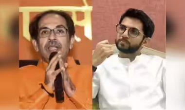 "आदित्य ठाकरेंना केंद्रीय मंत्र्यांचा टोला; 'अनुभवी नेत्यांचा आदर ठेवायला शिका'"
