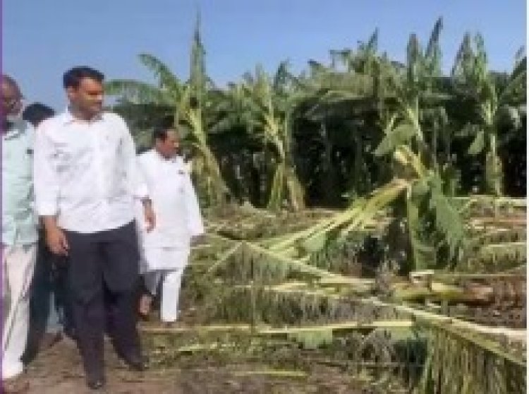 फळबागांचे नुकसान; युगेंद्र पवारांचा सरकारला इशारा