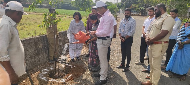 महापालिकेच्यावतीने जागतिक पर्यावरण दिन साजरा