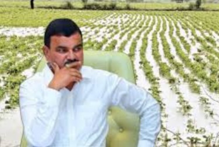पेरणीची घाई शेतकऱ्यांच्या अडचणी वाढवू शकते; कृषीमंत्र्यांचे 15 जूनपर्यंत थांबण्याचे आवाहन