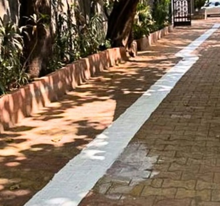 दादरमध्ये मराठी फलकांवरून वाद; मनसेचा BMC ला 3 वाजेपर्यंत इशारा