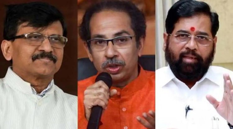 ठाकरे गटाच्या खासदारांच्या संभाव्य भूमिकाबदलाच्या चर्चांना वेग; कायदेशीर पर्यायांवर तज्ज्ञांची मते