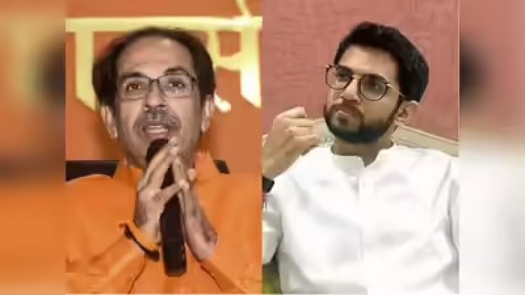 "आदित्य ठाकरेंना केंद्रीय मंत्र्यांचा टोला; 'अनुभवी नेत्यांचा आदर ठेवायला शिका'"