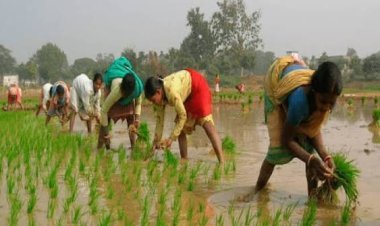 ऐतिहासिक पाऊल! 'महाराष्ट्र महिला शेतकरी सक्षमीकरण विधेयक २०२६' विधानसभेत सादर; महिलांना मिळणार 'शेतकरी' म्हणून कायदेशीर ओळख
