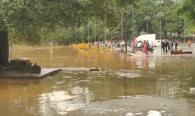 पंचगंगा नदीने सोडले पात्र! धरण क्षेत्रात मुसळधार पाऊस, कोल्हापुरात नद्यांच्या पाणी पातळीत झपाट्याने वाढ