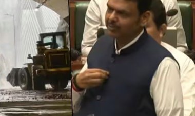 ट्रोलर्सना फडणवीसांचा इशारा! शिव्या द्या, पण महाराष्ट्राची बदनामी सहन करणार नाही
