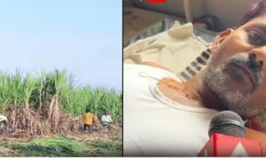 ऊसतोड मजुराचे अपहरण, चार दिवस छळ; मुकादमावर गंभीर आरोप