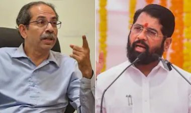 ऑपरेशन टायगर'च्या चर्चांनी नाशिकचं राजकारण तापलं