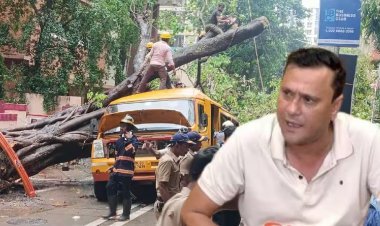 चेंबूर दुर्घटना अहवालावर मनसेचा संताप