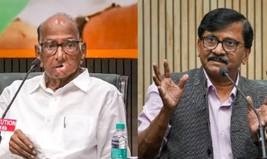 शरद पवार गट एनडीएमध्ये जाणार? 'त्या' गुप्त भेटीवर संजय राऊतांचा मोठा खुलासा; चर्चांमागचं खरं कारण आलं समोर!