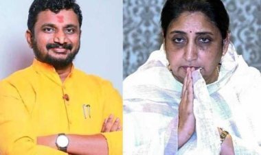 राष्ट्रवादीत अंतर्गत वाद उफाळला? सुनेत्रा पवार-पार्थ पवारांना लक्ष्य केल्याचा अमोल मिटकरींचा गंभीर आरोप