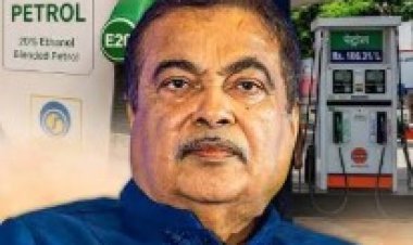 नितीन गडकरींना दिलासा, मुंबई हायकोर्टाचा मोठा निर्णय; नव्या 'E20 जनता पार्टी'चीही एन्ट्री