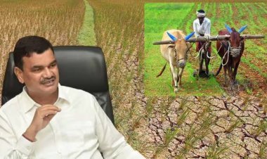 शेतकऱ्यांसाठी मोठी अपडेट! प्रोत्साहन अनुदान, कर्जमाफी आणि पीक विम्यावर कृषिमंत्री दत्तात्रय भरणेंची महत्त्वाची घोषणा