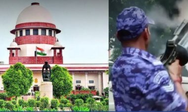 पेलेट गनवर संपूर्ण बंदी नाही; सर्वोच्च न्यायालयाचे स्पष्ट मत, केंद्राला नोटीस