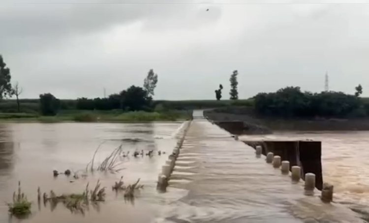 कोल्हापुरात पावसाची संततधार ; शिंगणापूर बंधारा पाण्याखाली, वाहतूक बंद