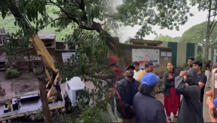 नगरसेविका दीपाली घाटगेंची तत्परता ; धोकादायक झाड सुरक्षितपणे घेतले हटवून