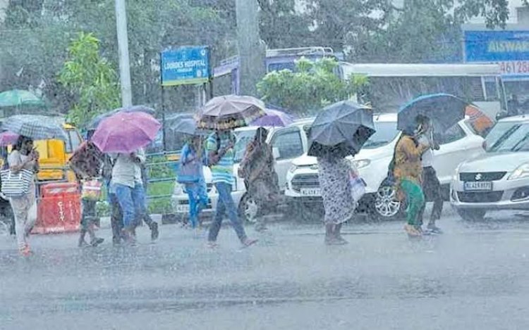 पुढील ३ दिवस धुवांधार बरसणार, ६ जुलैनंतर मात्र पावसाचा जोर ओसरणार; हवामान विभागाचा अंदाज