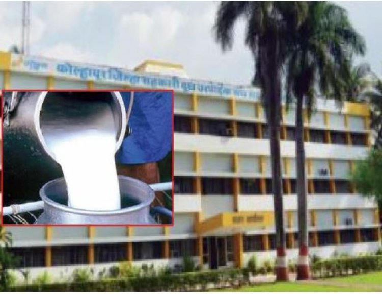 गोकुळ निवडणूक: आदेश देऊनही अधिकाऱ्यांची चालढकल; ९१ व्या दिवशी सर्वोच्च न्यायालयात 'अवमान याचिका' दाखल करणार, याचिकाकर्त्यांचा इशारा