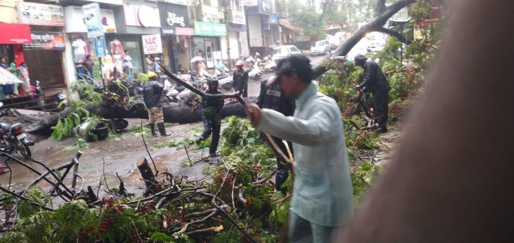 पावसामुळे पडलेली 29 झाडे हटवून रस्ते वाहतुकीसाठी खुले